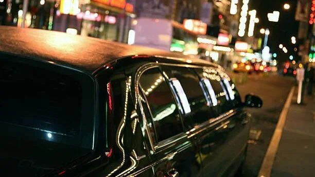 Visiting the Art Gallery of Ontario with Mississauga Limo Service 1 Mississauga limousine service