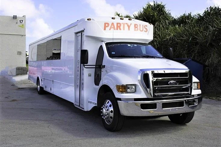 How To Make Your Limousine Birthday Party Worth It? 1 image 40