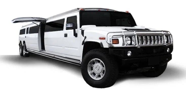 Party Bus Rental Burlington: A Comprehensive Guide to Unlock the Ultimate Celebration 1 Mississauga limousine service