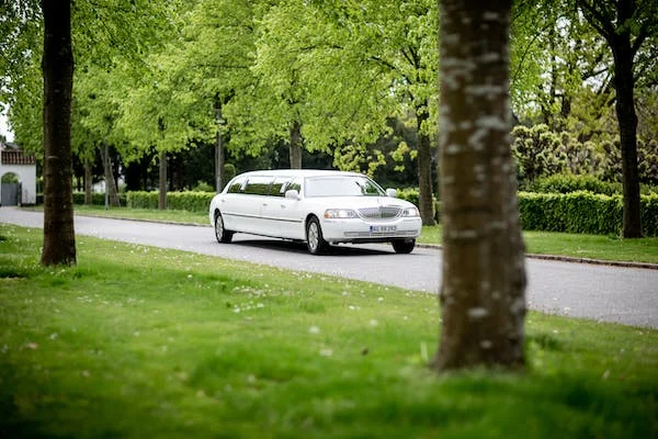 Mississauga limousine service