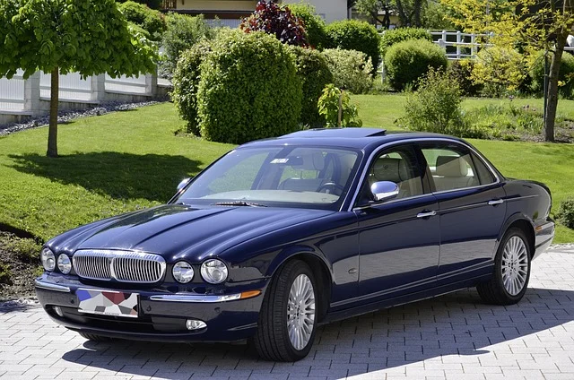 Party Bus Rentals Toronto: A complete Guide to Choose the Best Ride! 1 daimler 1354966 640